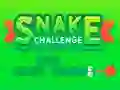 Spill Snake Challenge online