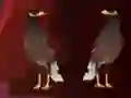 Spill Peikin Duck Escape online