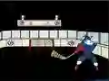 Spill Capitaine Cage Hockey online