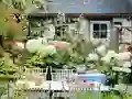 Spill Flower Garden online