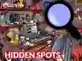 Spill Hidden Spots In The Room online