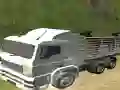 Spill Wild Animal Transport Truck online