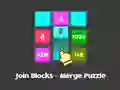 Spill Join Blocks Merge Puzzle online
