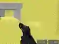Spill Pixel Combat Multiplayer online