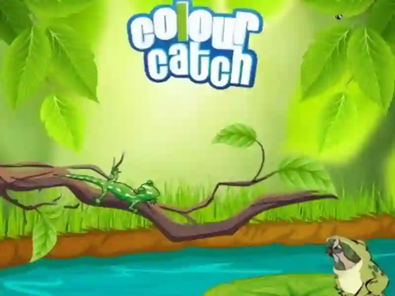 Spill Colour Catch online