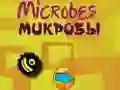 Spill Microbes online