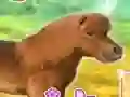 Spill My Dear Pony online