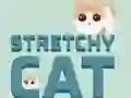 Spill Stretchy Cat online