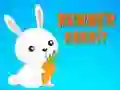 Spill Runner Rabbit online