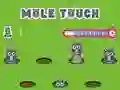 Spill Pole Touch online