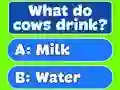 Spill Trivia Best Family Quiz online