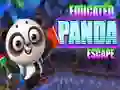 Spill Educated Panda Escape online