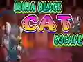 Spill Ninja Black Cat Escape online