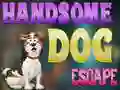 Spill Handsome Dog Escape online