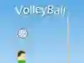 Spill VolleyBall online