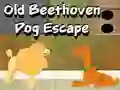 Spill Old Beethoven Dog Escape online