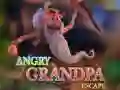 Spill Angry Grandpa Escape online