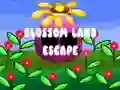 Spill Blossom Land Escape online