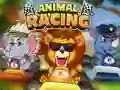 Spill Animal Racing online