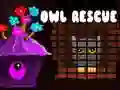 Spill Owl Rescue online