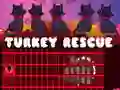 Spill Turkey Rescue online