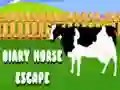 Spill Diary Horse Escape online