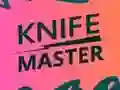 Spill Knife Master online