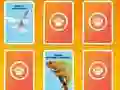 Spill National Geographic Kids Matching online