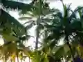 Spill Golden Statue Escape online
