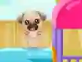 Spill Puppy Playground Builder online