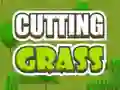 Spill Cutting Grass online