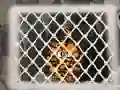 Spill Tiger Escape 1 online