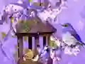 Spill Wonderful Humming Bird Land Escape online
