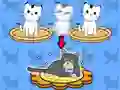 Spill Cat Condo online