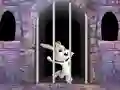 Spill Victory Rabbit Escape online