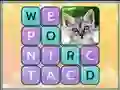 Spill Word Search Pictures online
