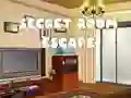 Spill Secret Room Escape online
