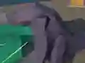 Spill Hakaiju online