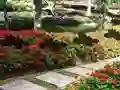 Spill Leaf Farm Garden Escape online