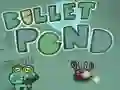 Spill Bullet Pond online