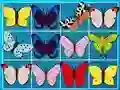 Spill King Of Mahjong online