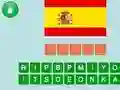 Spill Guess the Flag online