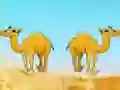 Spill Desert Gold Rush The Great Treasure Escape online