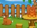 Spill Funny Iguana Escape online