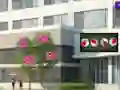 Spill Escape From The Hospital online