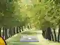 Spill Pair of Cat Escape online