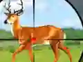Spill Wild Hunt Hunting Games 3D online