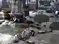 Spill Friends Rescue From Skeleton online