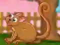 Spill The Cute Tarsier Escape online