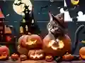 Spill Jigsaw Puzzle: Halloween Cat online